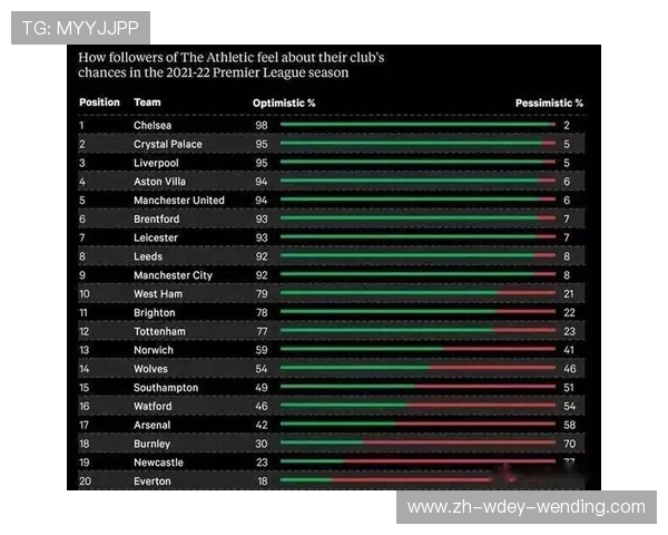 英超球队球迷数量：分析英超各球队的球迷基础与支持情况。